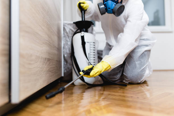 Best Affordable Pest Control Services  in Dunwoody, GA
