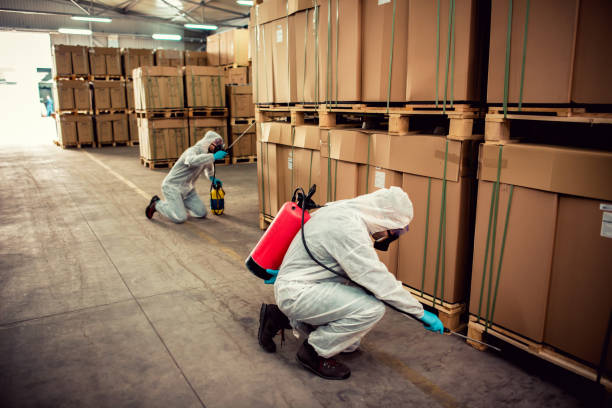 Best Affordable Pest Control Services  in Dunwoody, GA