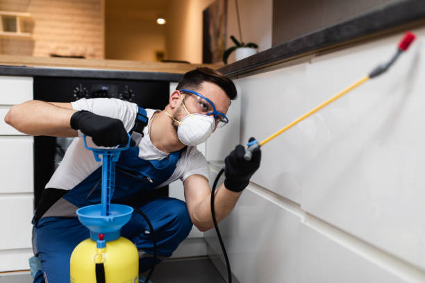Best Pest Removal Services  in Dunwoody, GA
