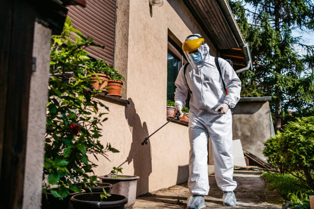 Best Flea Control Services  in Dunwoody, GA