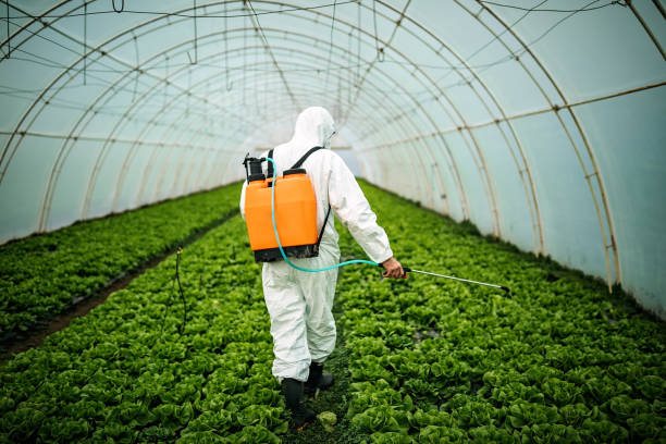 Best Best Pest Control Companies  in Dunwoody, GA