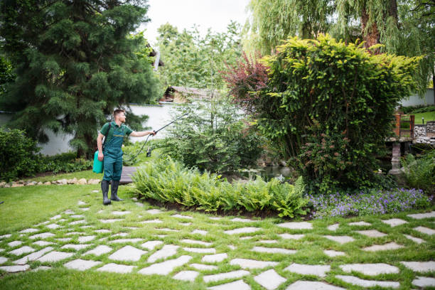 Best Commercial Pest Control Services  in Dunwoody, GA