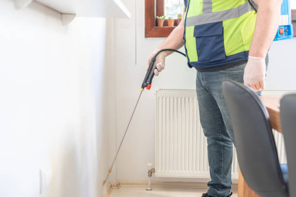 Best Local Pest Control Services  in Dunwoody, GA