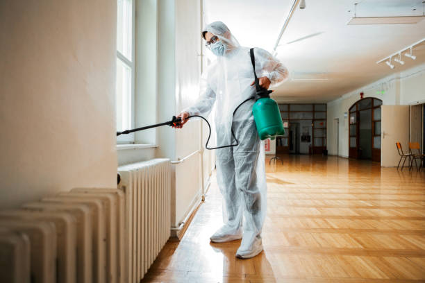 Trusted Dunwoody, GA Pest Control Experts