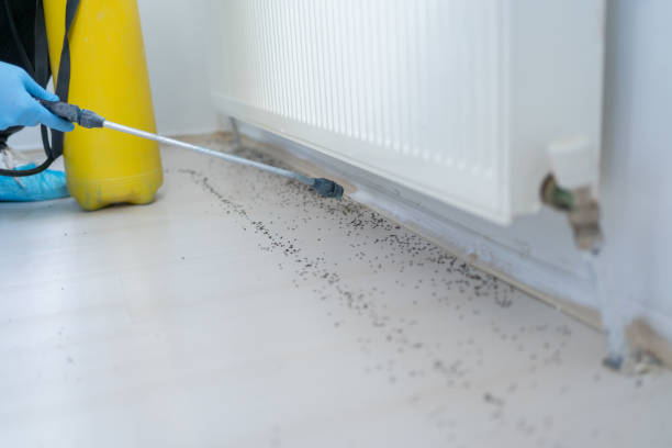 Best Pest Prevention Services  in Dunwoody, GA